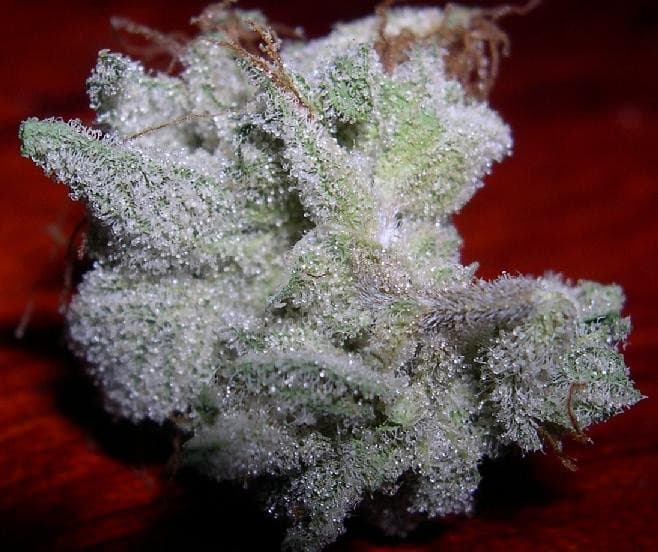 og-nug-420-drop.jpg