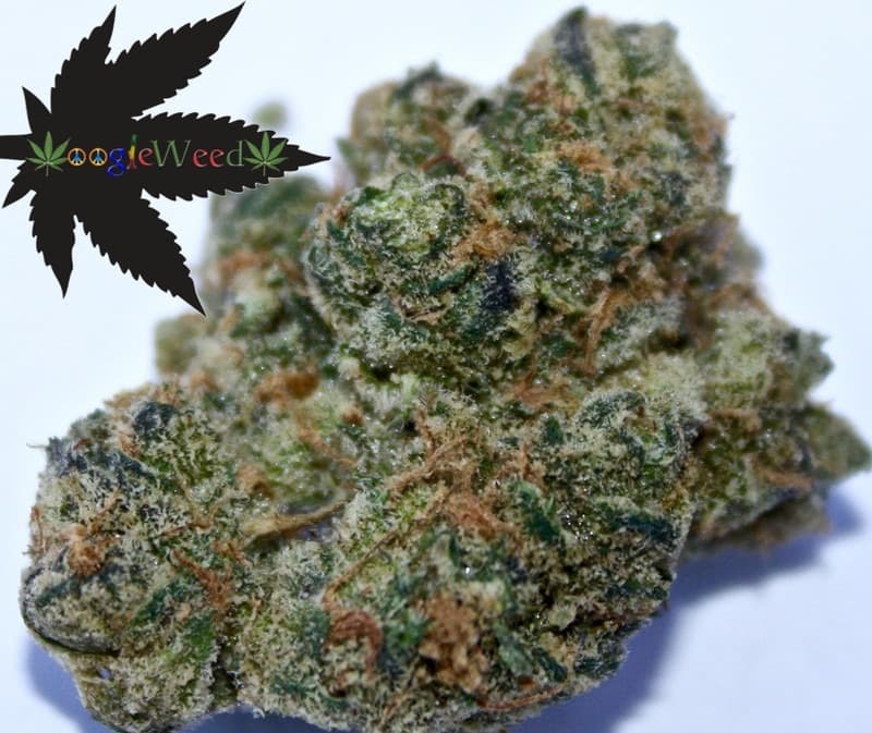 OG18-UPS420-GoogleWeed-Youhydro-Marijuana-Flowering-pics.jpg