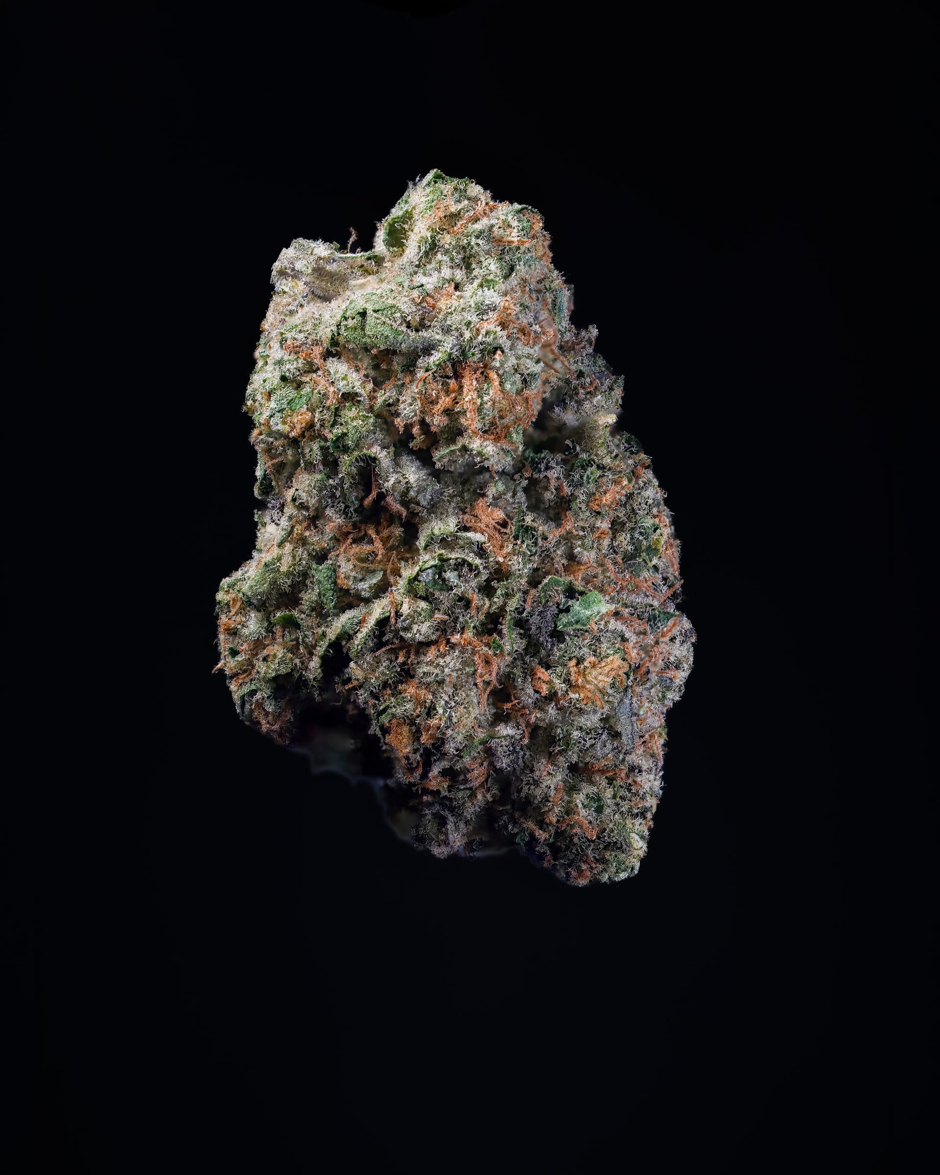 Highly Favored - Exotic THCp Flower - Permanent Kush thumbnail 2